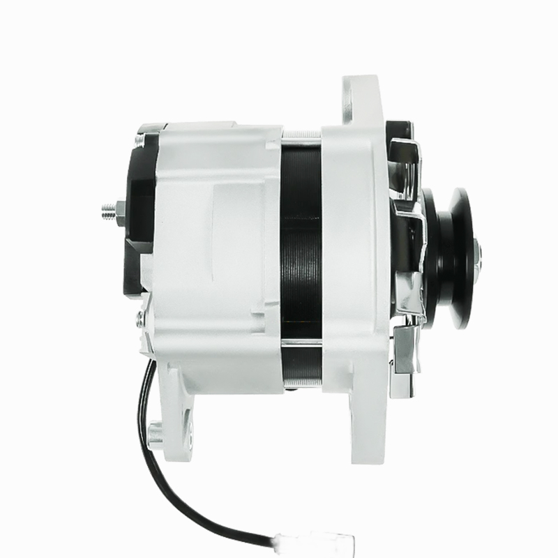 11.203.256، AAK4301، IA1200، 72735220، MG221، 90455973 12 فولت، 80 أمبير، 1PK، 46.5 مم ISKRA / LETRIKA مولدات كهربائية لـ FIORI DB 260، JCB 100 C-1، 150 T، 155، 175، 85 Z-2، 86 C-1، 87 C-2، 90 Z-2، محرك KOHLER